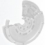 regeneracja k� dwumasowych Warszawa